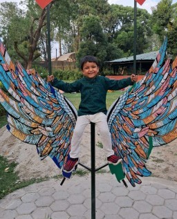 HICH:Humans always want to fly. But fail on the boundaries.