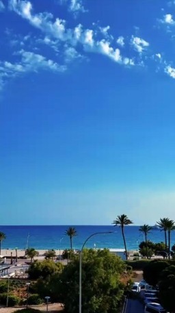 HICH:🌞☀️🌞☀️🌞☀️🌞☀️🌞☀️🌞☀️🌞#summer #hich #vote #trending