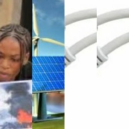 HICH:What can you contribute to battle climate change?