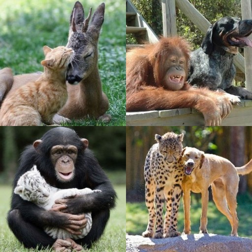 HICH:Who will remain friends for a long time?