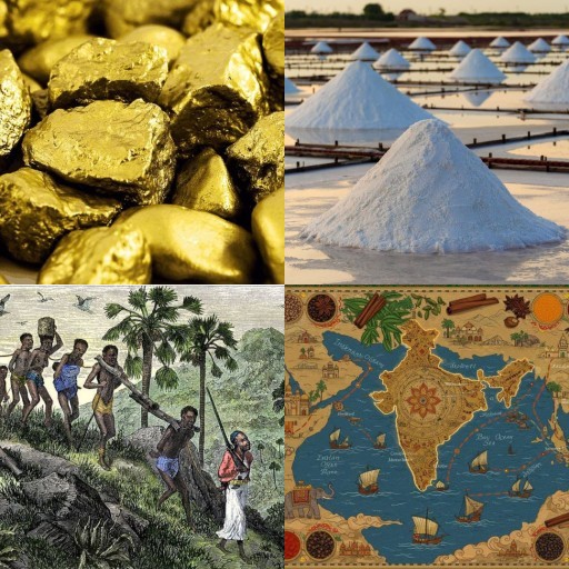 HICH:What was the primary source of Mansa Musa's immense wealth during his reign as ruler of the Mali Empire?