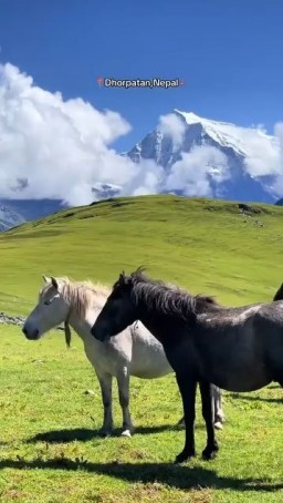 HICH:The breathtaking view of Dhorpatan, blended with a soulful song, feels truly magical. Let’s explore the wonders of Nepal’s tourism together.