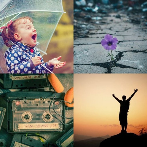 HICH:Where does your happiness secretly hide?