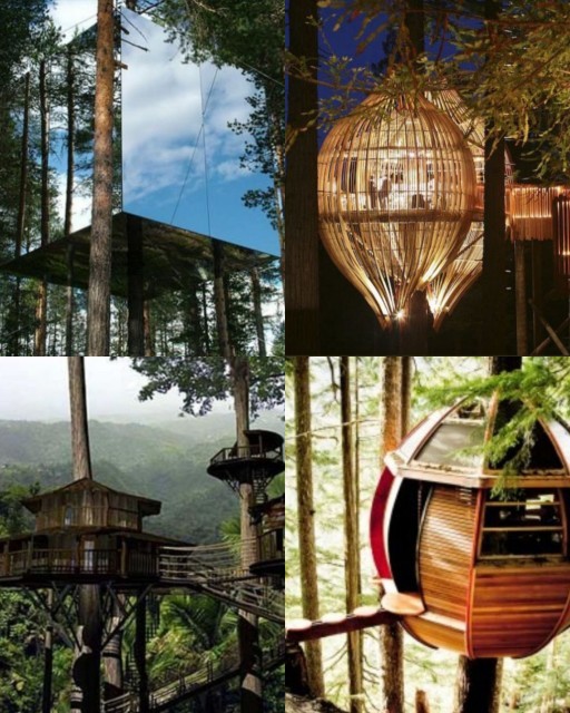 HICH:Which of these is the world's most beautiful treehouse?