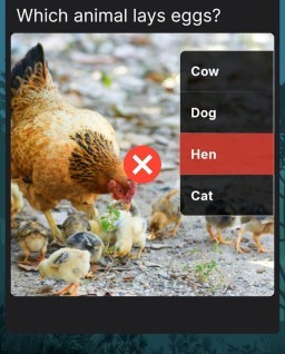 HICH:What is th correct answer? @babita_khadka