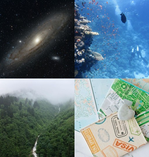 HICH:If you could explore one of Earth's greatest unknowns, what would you choose?