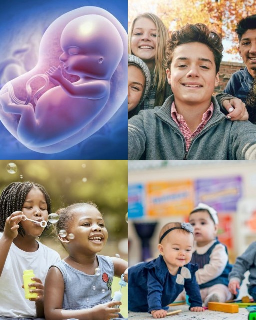 HICH:What are the major physical and mental changes that occur from prenatal stage to adolescence ?