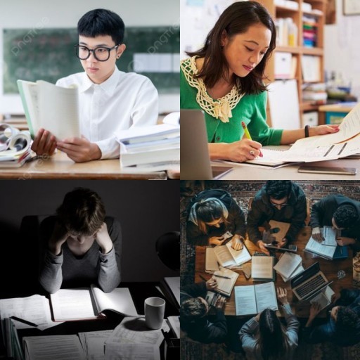HICH:Which student are/were you?