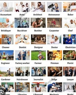 HICH:When you were a kid,what was your main dream job ?