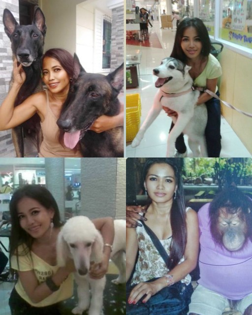 HICH:How do your pets influence your daily life?