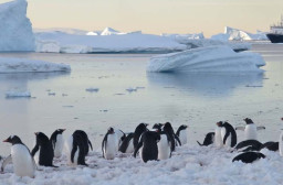 HICH:What are the reasons of no human living in antarctica?
