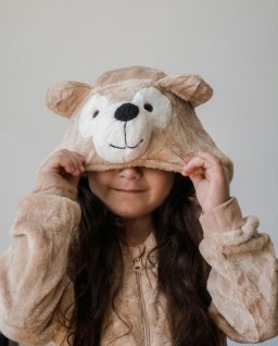 HICH:Which of these is a common toy for children?