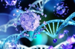 HICH:How does herpes virus most shockingly hijack human DNA?