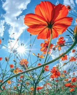 HICH:Life is simple and beautiful. Appreciate it more. Love more life more.
