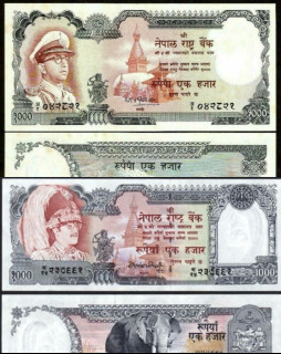HICH:Which one u like?