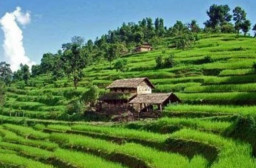 HICH:What is main benefits of natural beauty ???