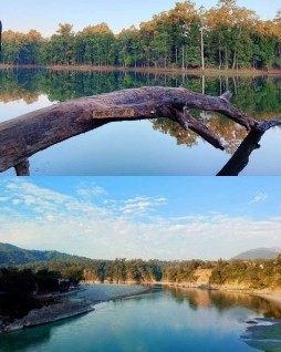 HICH:Rate my photography please 🙏