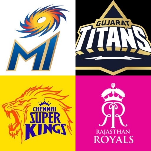 HICH:Winner of ipl 2019 ?