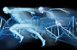 HICH:What are the physical benefits of DNA activation?