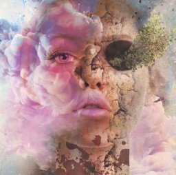 HICH:Why must everything beautiful fade?