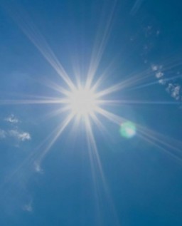 HICH:Which vitamin is obtained from sunlight?
#Hich #Health