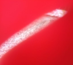 HICH:Red and beautiful !