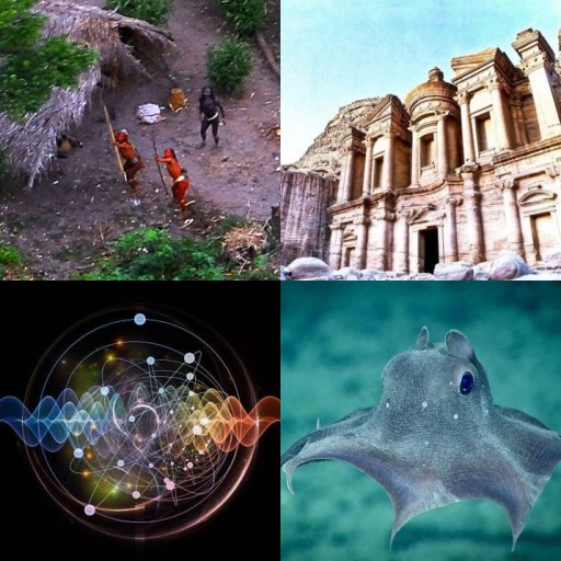 HICH:What do you think is the strangest thing in the world?🤔
