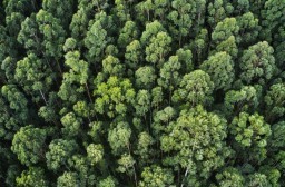 HICH:Why is protecting the environment important?