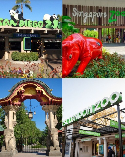 HICH:Which is the most popular zooin the world?