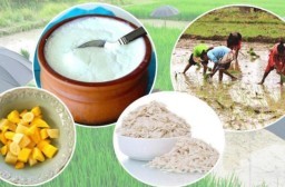 HICH:What is the historical significance behind celebrating Dahi Chiura Khane Din?