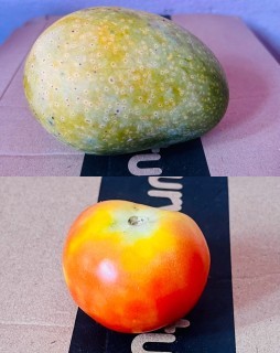 HICH:Which of these two is the king of fruits?