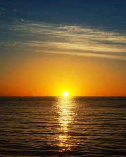 HICH:The sun rises in the east.