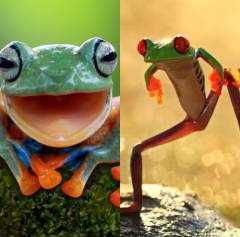 HICH:Which image for my new avatar?