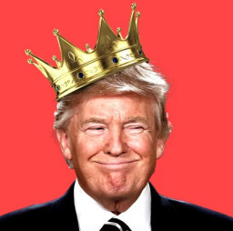 HICH:Should Trump be granted criminal immunity?