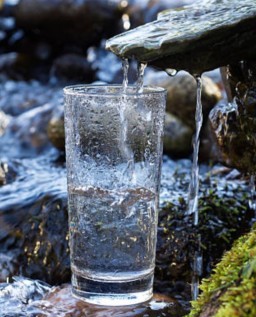 HICH:We can't revive without water, but it has no specific taste. Agree or disagree?