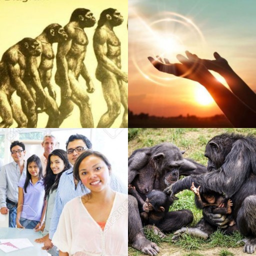 HICH:From cries of pain to words of meaning which theory believes language began in emotion?
#languageOrigin   #HumanIntity