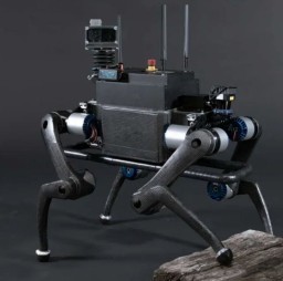 HICH:What excites or concerns you most about robot dogs gaining human-like ball-throwing abilities?