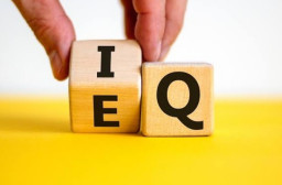 HICH:Why is emotional intelligence often overlooked in professional success metrics?