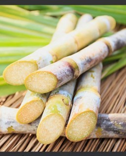 HICH:What are the health benefits of sugarcane ?
