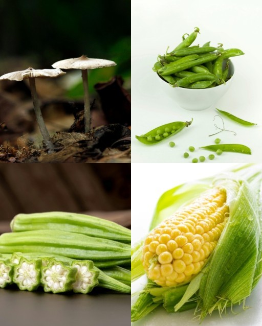 HICH:Which vegetable do you like?