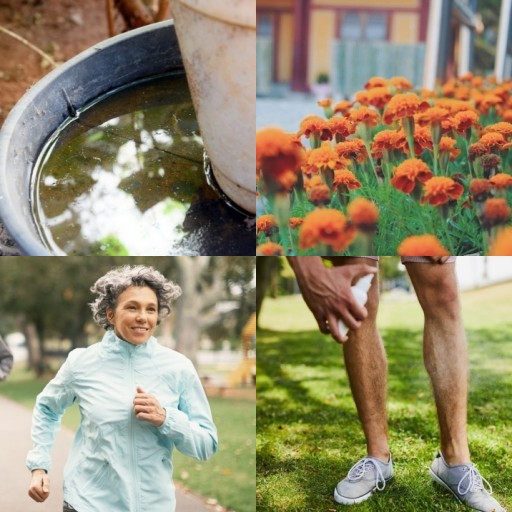 HICH:What are the best way of Preventing  from Mosquito Bites?