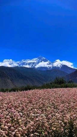 HICH:#Goodmorning everyone ✌️ 
#TheBeautyofNepal