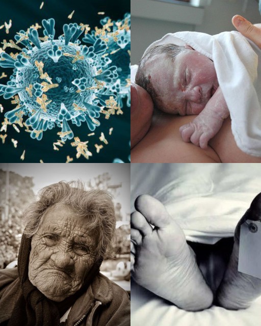 HICH:What  do think is the main real problem of life?