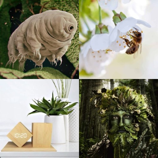 HICH:What are some mind-blowing ways time work in nature?
