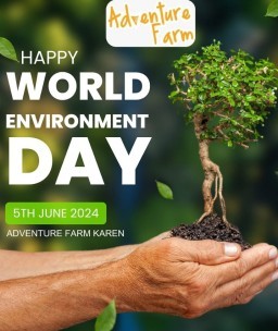 HICH:🌲Minimum One Person One Plant🌲.
Save Environment.🌿🍃