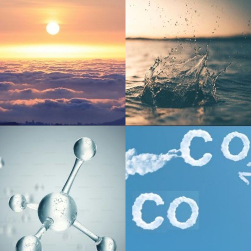 HICH:Which of these is NOT a primary component of photosynthesis?