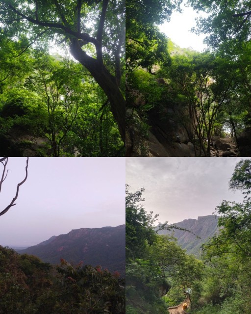 HICH:Love the nature and exposure the nature...