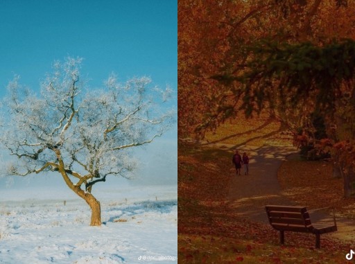 HICH:What is the best time to visit netherlands? #hich