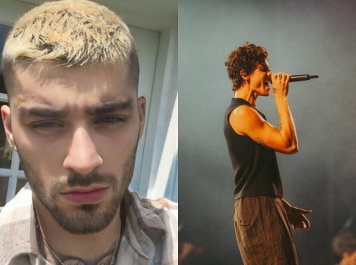 HICH:Zayn Malik or Shawn Mendes