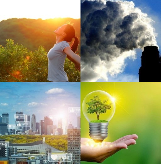 HICH:What motivates you to adopt eco-friendly Actions?